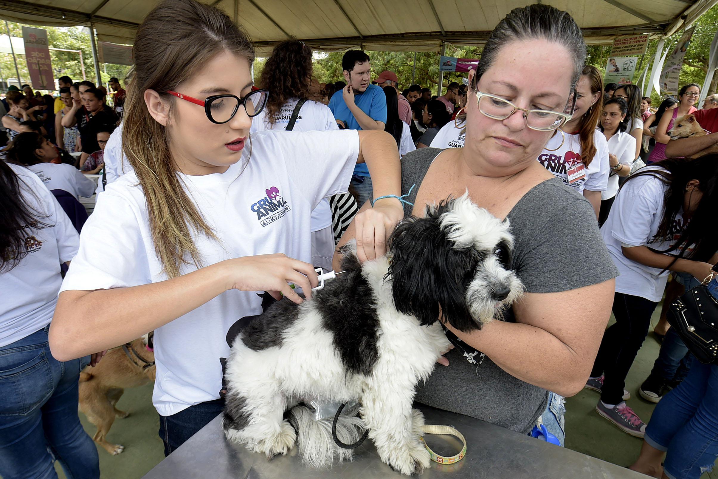 Foram feitas 950 aplicações de vacina antirrábica durante o Gru Animal