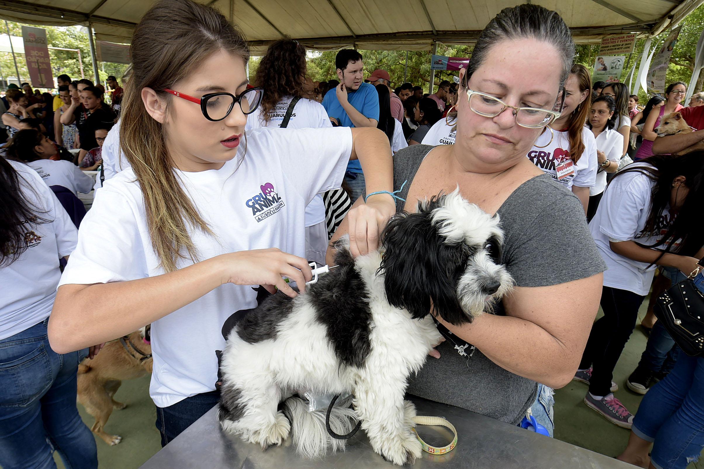 Foram feitas 950 aplicações de vacina antirrábica durante o Gru Animal 